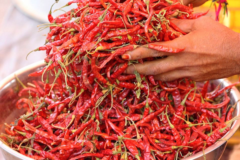 Photo of Jambughoda sightseeing by currylines