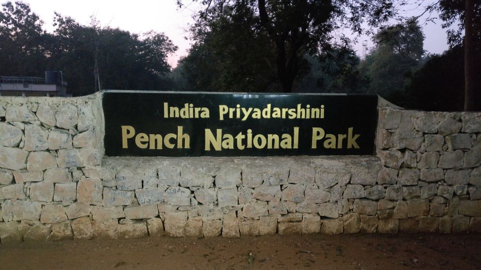 Photo of Pench National Park-Madhya Pradesh by currylines