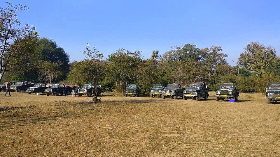 Photo of Pench National Park-Madhya Pradesh by currylines
