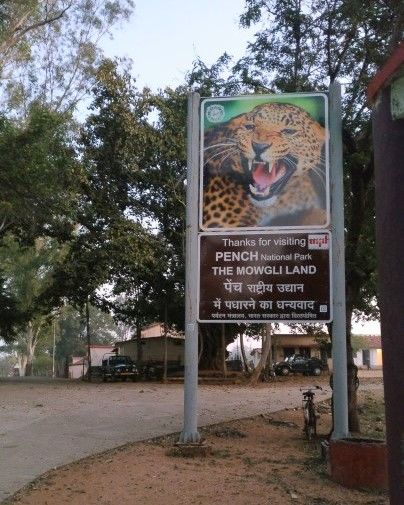 Photo of Pench National Park-Madhya Pradesh by currylines