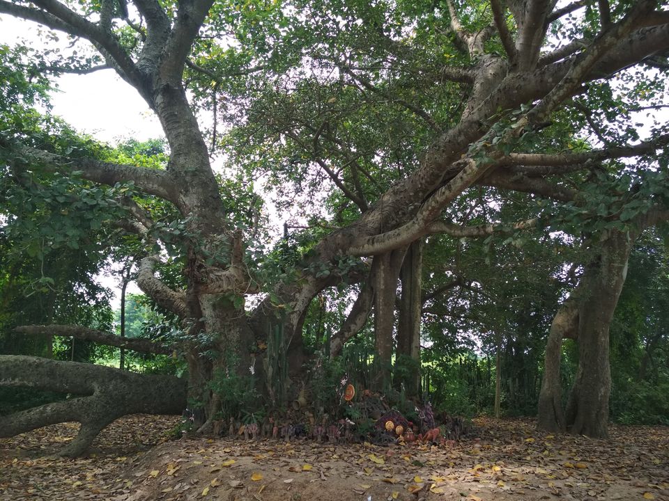 Photo of Chachor, Bankura, West Bengal 10/35 by Prasun Banerjee