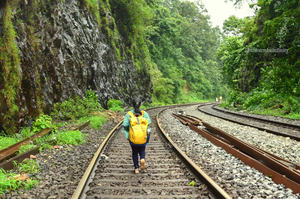 Photo of Dudhsagar Falls, Sonaulim, Goa, India by vidya murganoor
