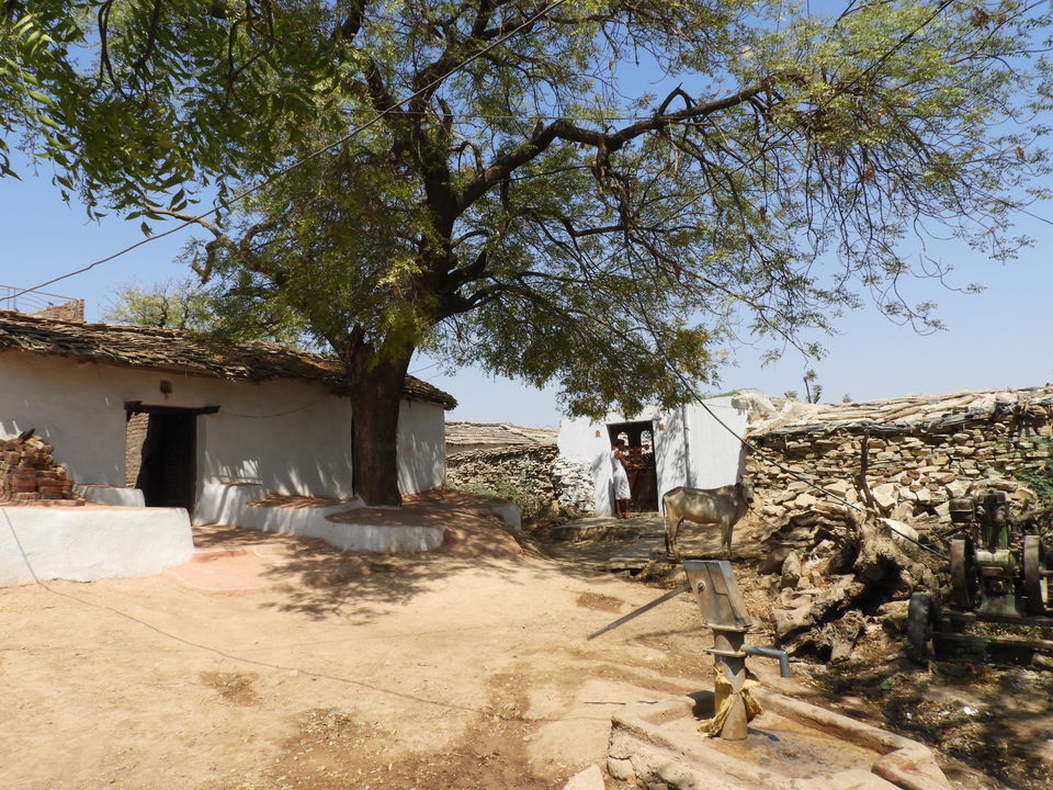 Photo of Raola Khera - An ethnic village 5/38 by Veronique Narayana Swamy