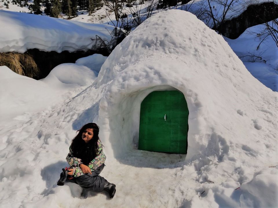 Photo of Himachal Tour from Bangalore by Apeksha Gupta
