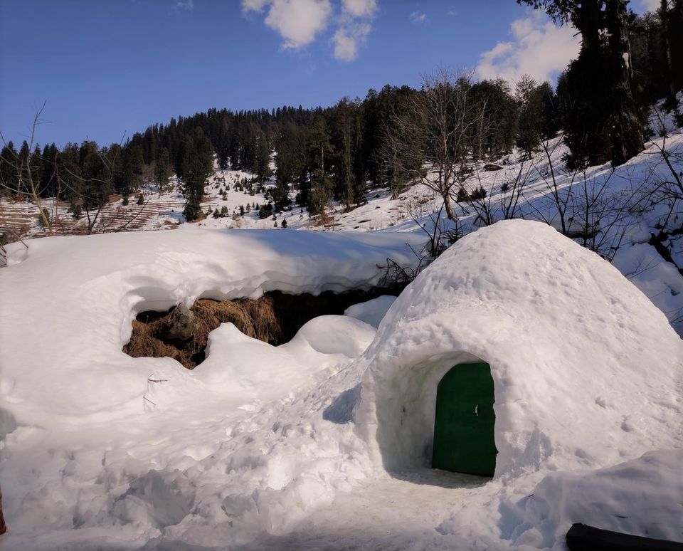 Photo of Himachal Tour from Bangalore by Apeksha Gupta