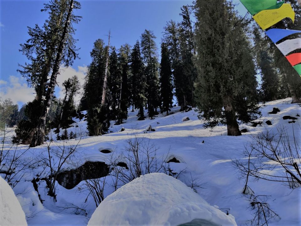 Photo of Himachal Tour from Bangalore by Apeksha Gupta