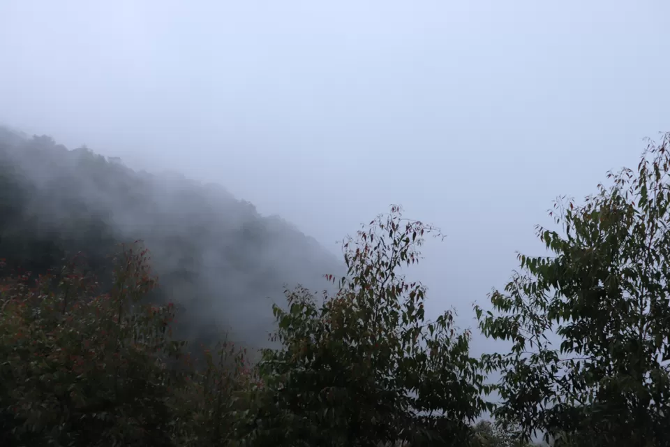 Photo of Munnar Top Station, View Point, View Point Path, Munnar, Tamil Nadu, India by Akhilesh Yadav