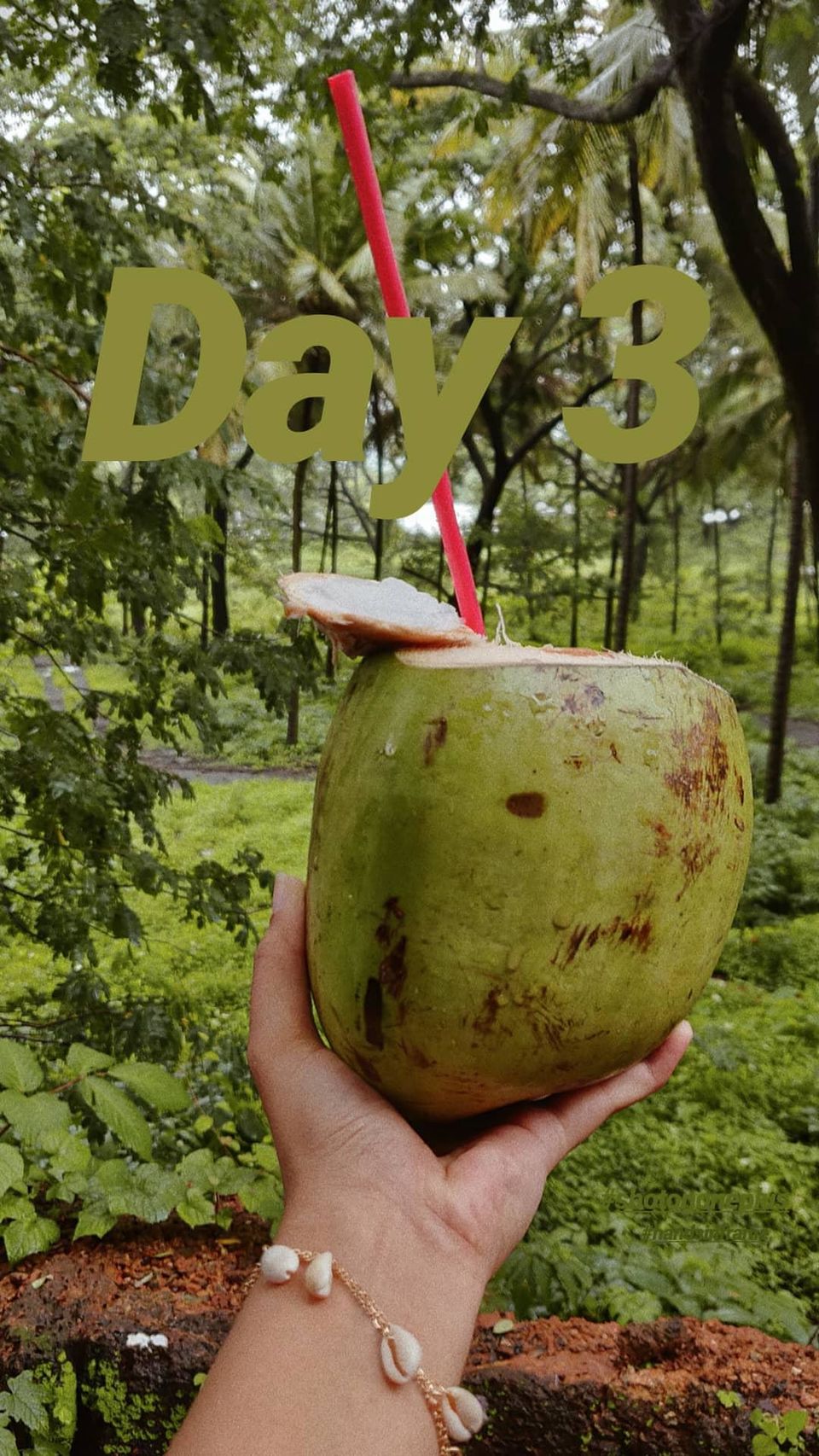 Photo of When In Goa try these 5 underrated Food/Drinks 15/15 by Chavi Gulati