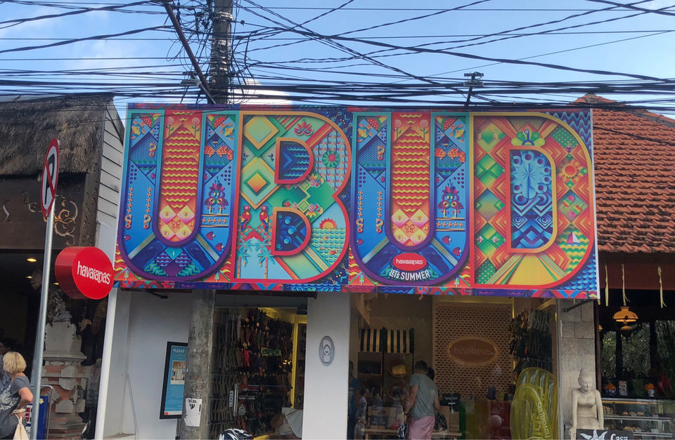 Photo of Ubud: What I did and what I missed #Bali by Anamika Sharma