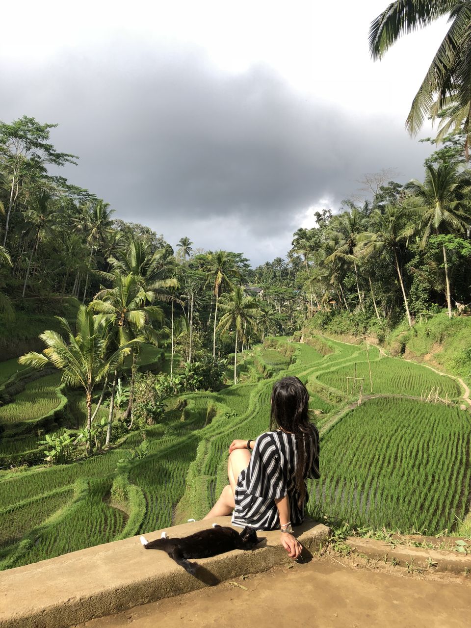 Photo of Tegallalang, Gianyar, Bali, Indonesia by Anamika Sharma