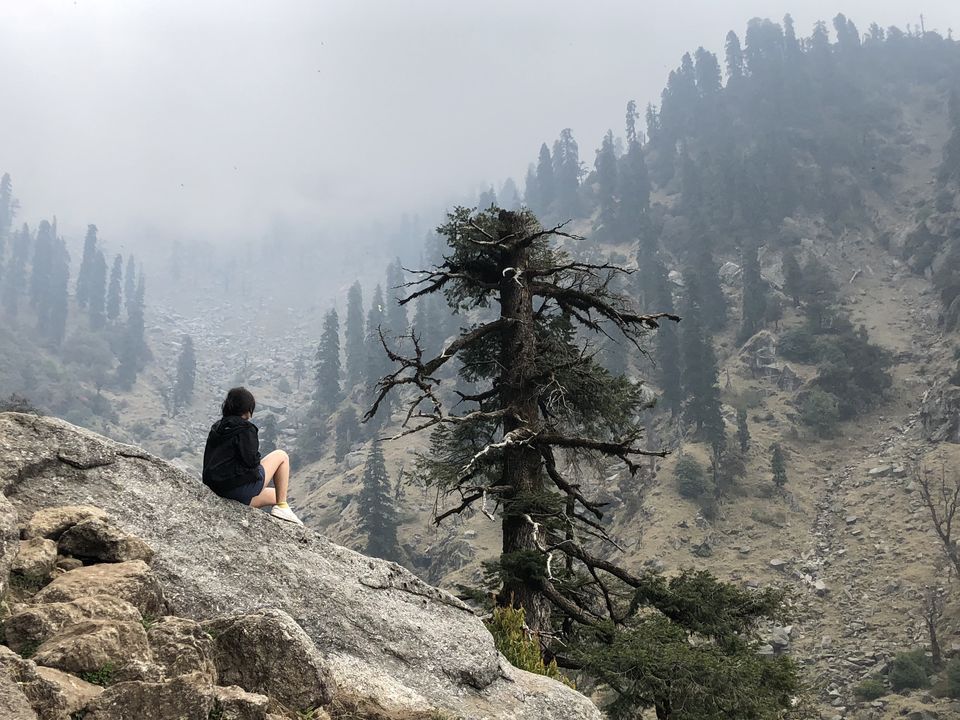 Photo of Kareri Lake Trek: Plan a walk with Rhododendrons this weekend by Anamika Sharma