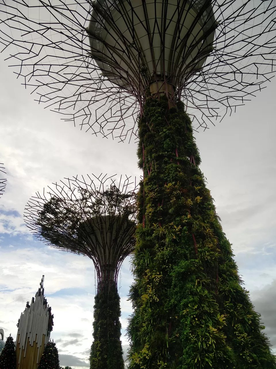 Photo of Marina Gardens Drive, Gardens by the Bay, Singapore by Pratik Shah