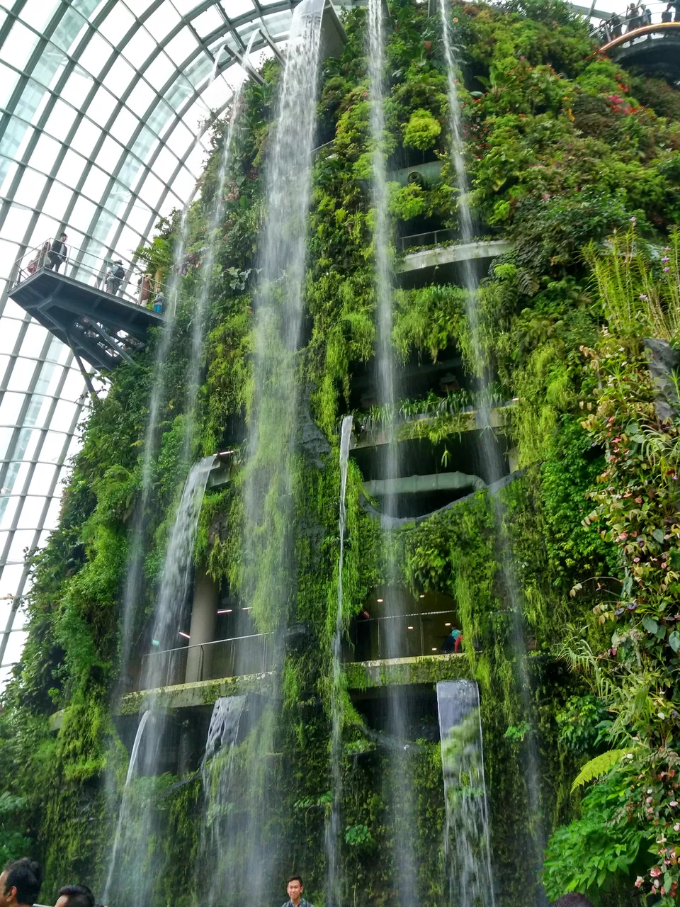 Photo of Marina Gardens Drive, Gardens by the Bay, Singapore by Pratik Shah