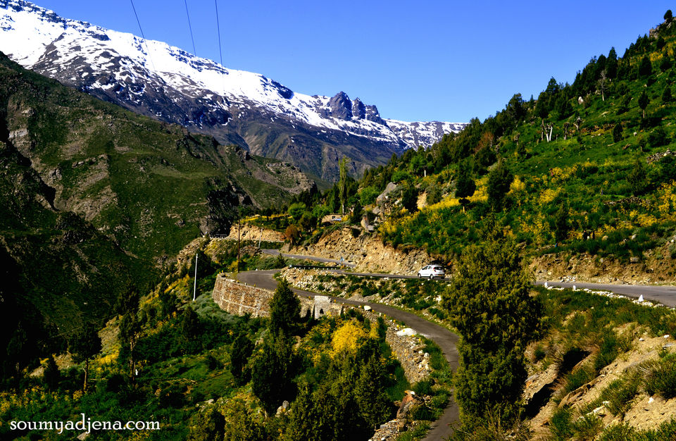 Photo of A Tale of two mountain passes – Mountain biking from Rohtang to Baralacha La,Himachal 14/22 by Soumya Jena