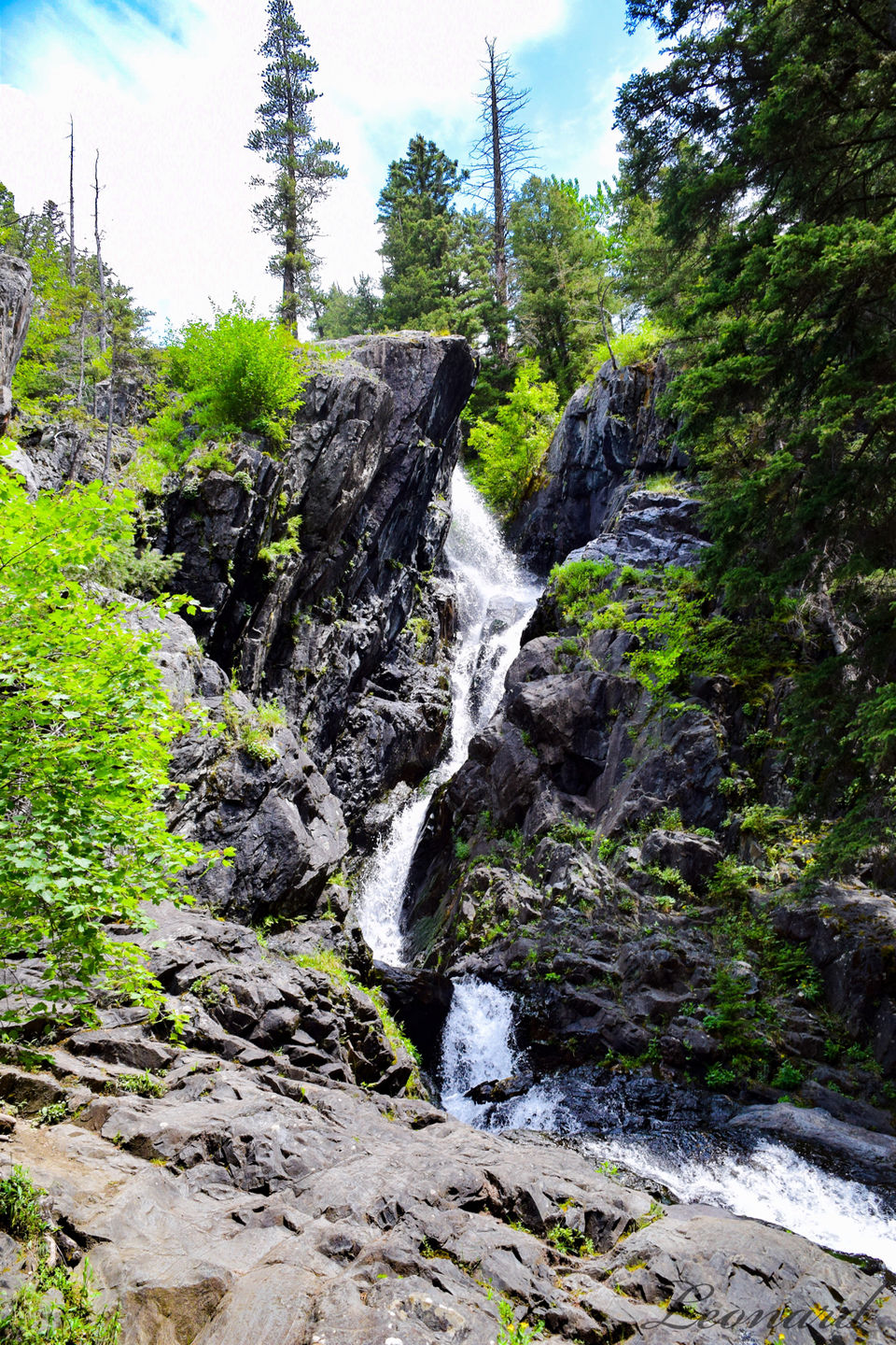 Photo of Livingston, MT, USA by LeonardTravelBlog