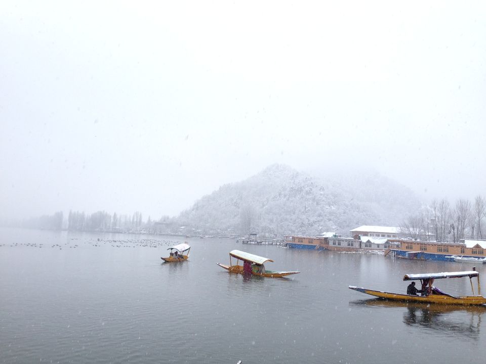 Photo of 6 reasons for traveling to Kashmir in the winter season 4/7 by Kirti Gupta