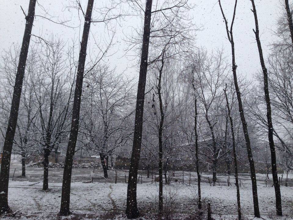 Photo of 6 reasons for traveling to Kashmir in the winter season 2/7 by Kirti Gupta