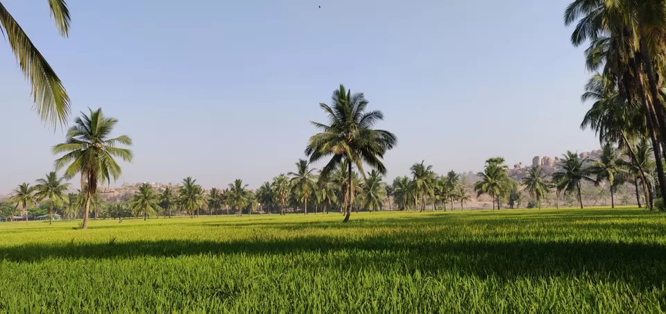 Photo of Find peace in Hampi by Zaid Abbasi