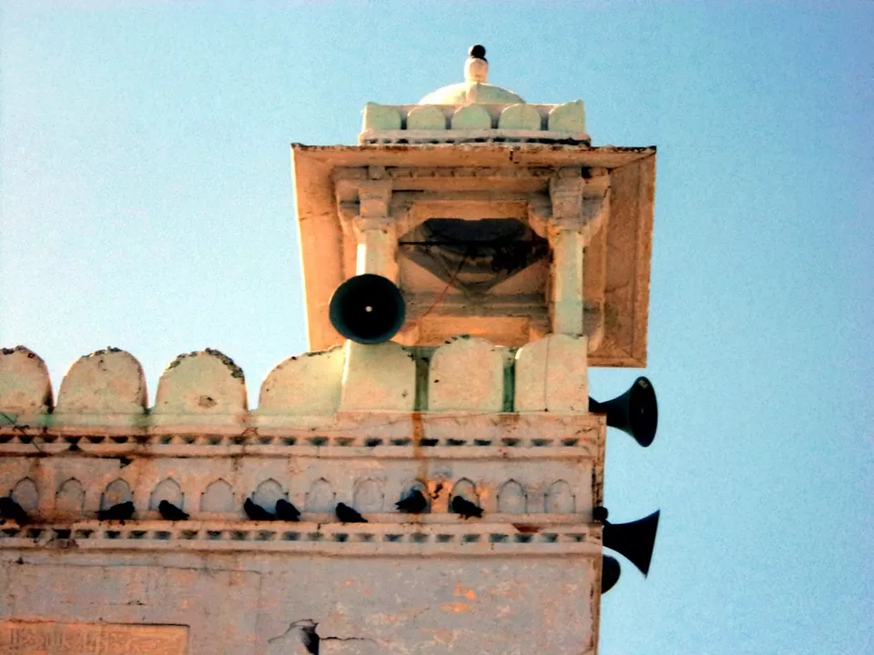 Photo of Amdavad Ni Gufa, Ahmedabad, Gujarat, India by Miles 2 Smile