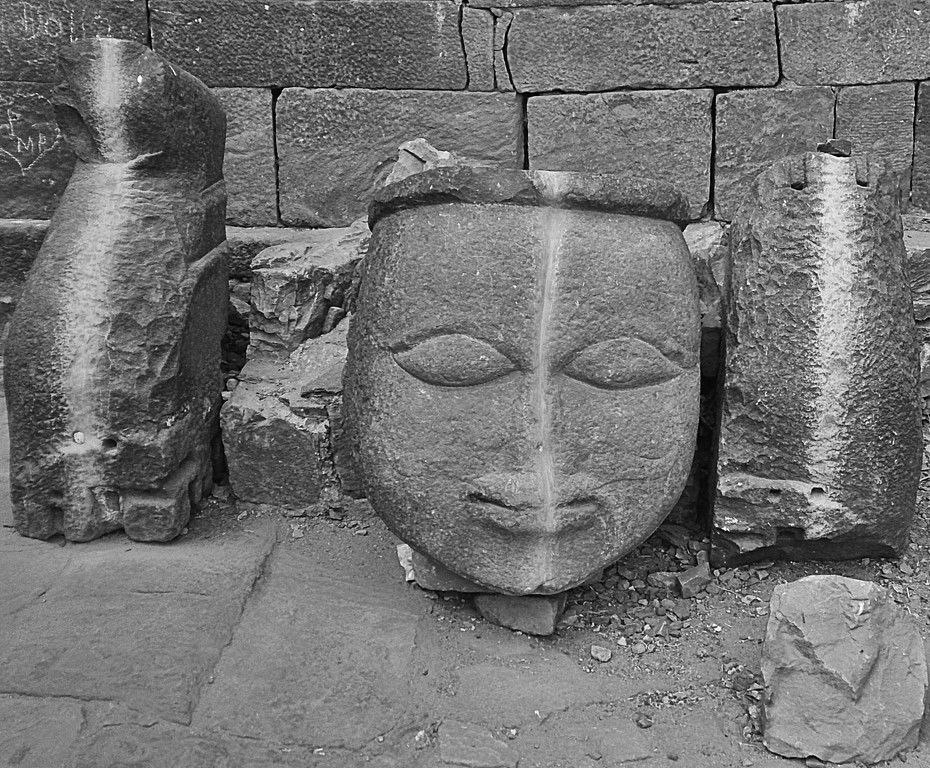 Photo of Agra - Mathura - Ranthambore: How We Covered 3 Genres of Travel In A Single Trip 6/84 by Prathmesh Vijay Thaker