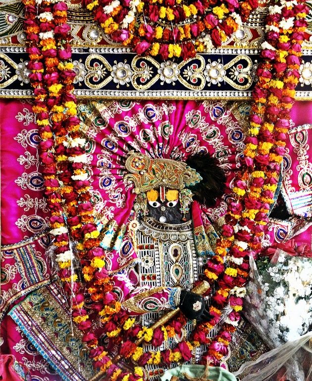 Photo of Agra - Mathura - Ranthambore: How We Covered 3 Genres of Travel In A Single Trip 13/84 by Prathmesh Vijay Thaker