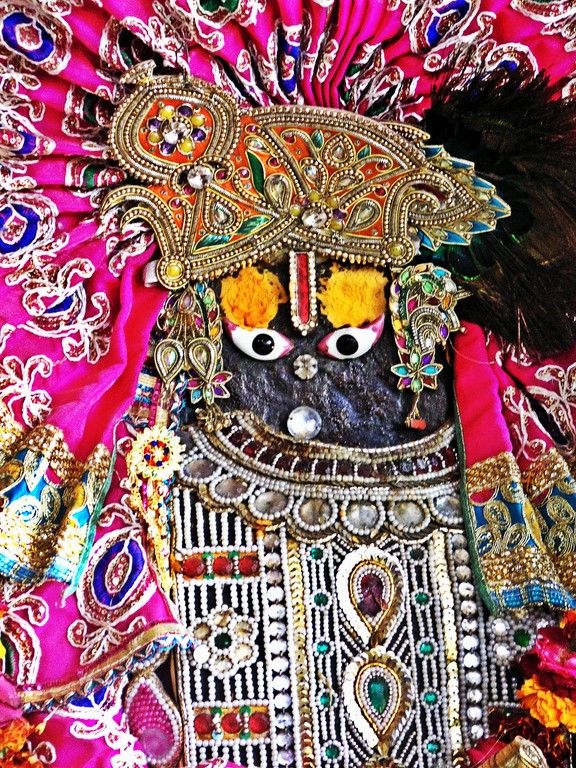 Photo of Agra - Mathura - Ranthambore: How We Covered 3 Genres of Travel In A Single Trip 14/84 by Prathmesh Vijay Thaker
