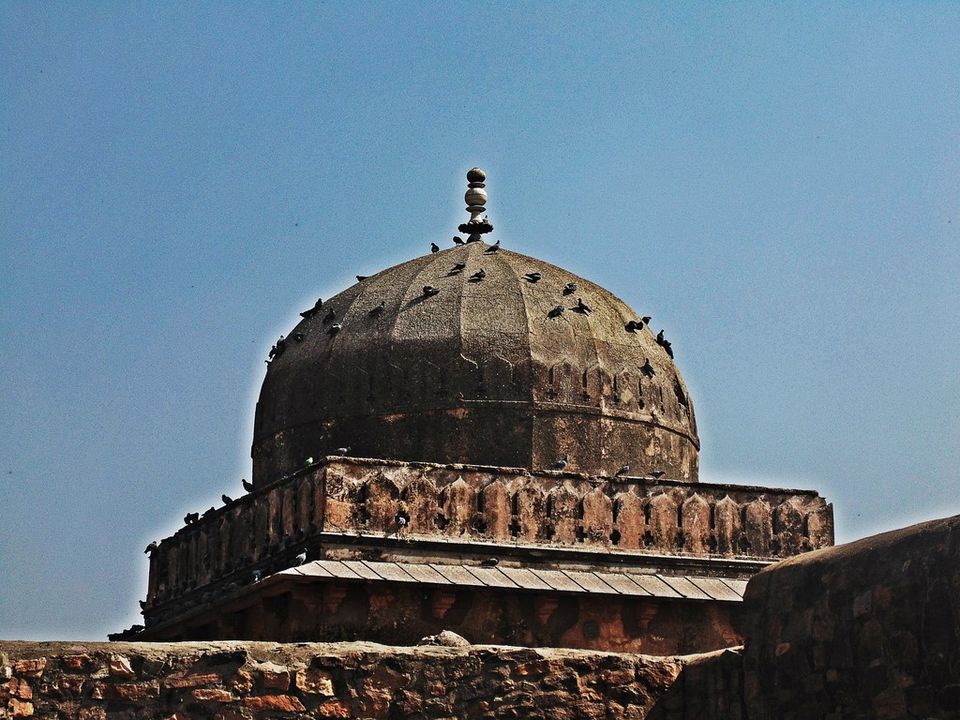 Photo of Agra - Mathura - Ranthambore: How We Covered 3 Genres of Travel In A Single Trip 32/84 by Prathmesh Vijay Thaker