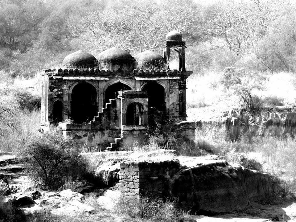 Photo of Agra - Mathura - Ranthambore: How We Covered 3 Genres of Travel In A Single Trip 34/84 by Prathmesh Vijay Thaker