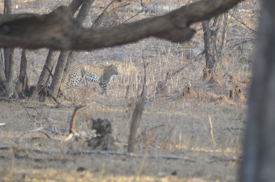 Photo of Agra - Mathura - Ranthambore: How We Covered 3 Genres of Travel In A Single Trip 43/84 by Prathmesh Vijay Thaker