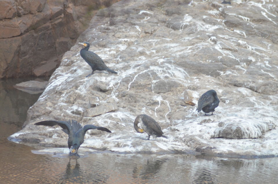 Photo of Agra - Mathura - Ranthambore: How We Covered 3 Genres of Travel In A Single Trip 46/84 by Prathmesh Vijay Thaker