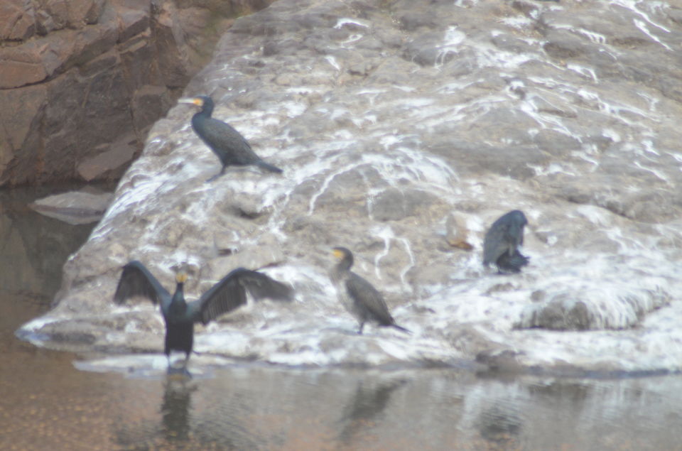 Photo of Agra - Mathura - Ranthambore: How We Covered 3 Genres of Travel In A Single Trip 47/84 by Prathmesh Vijay Thaker