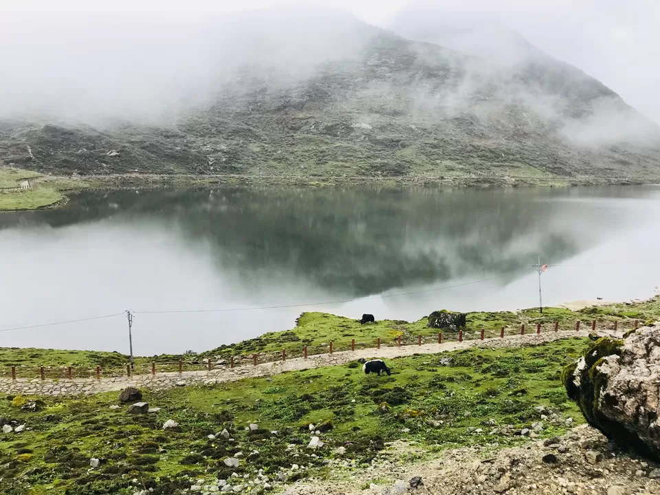 Photo of Two girls to Tawang in monsoons by Vandana Verma