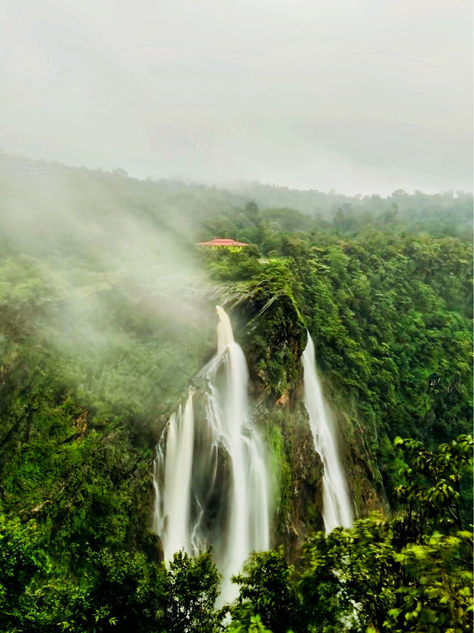Photo of 3 Day Trip to Jog Falls and Shimoga, making the most of monsoon long weekend by Vandana Verma