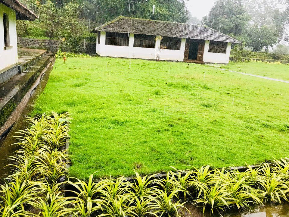 Photo of 3 Day Trip to Jog Falls and Shimoga, making the most of monsoon long weekend by Vandana Verma