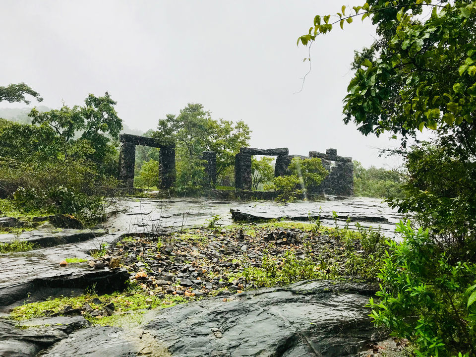 Photo of 3 Day Trip to Jog Falls and Shimoga, making the most of monsoon long weekend by Vandana Verma