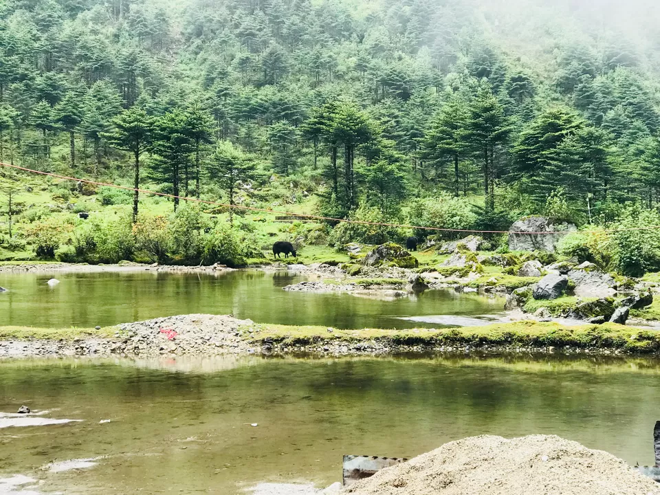 Photo of Dirang by Vandana Verma