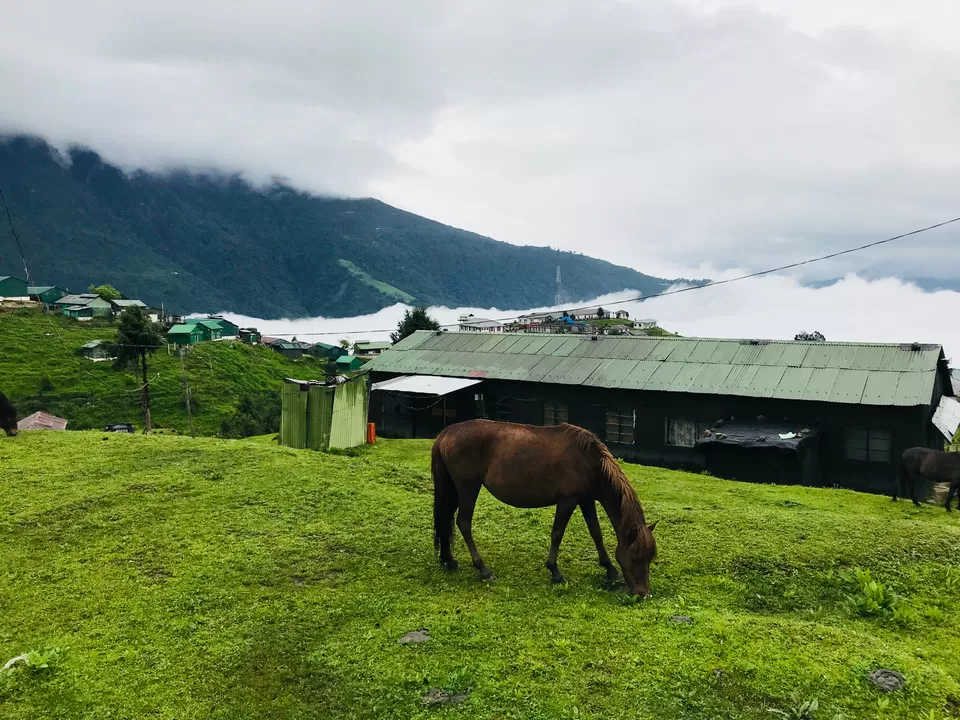 Photo of Tawang by Vandana Verma