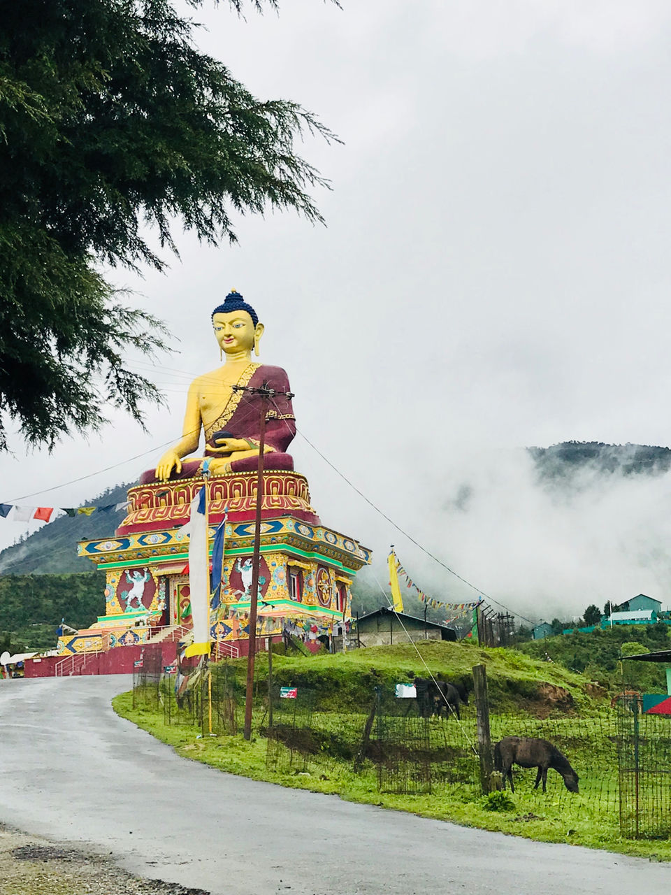 Photo of Two girls to Tawang in monsoons by Vandana Verma