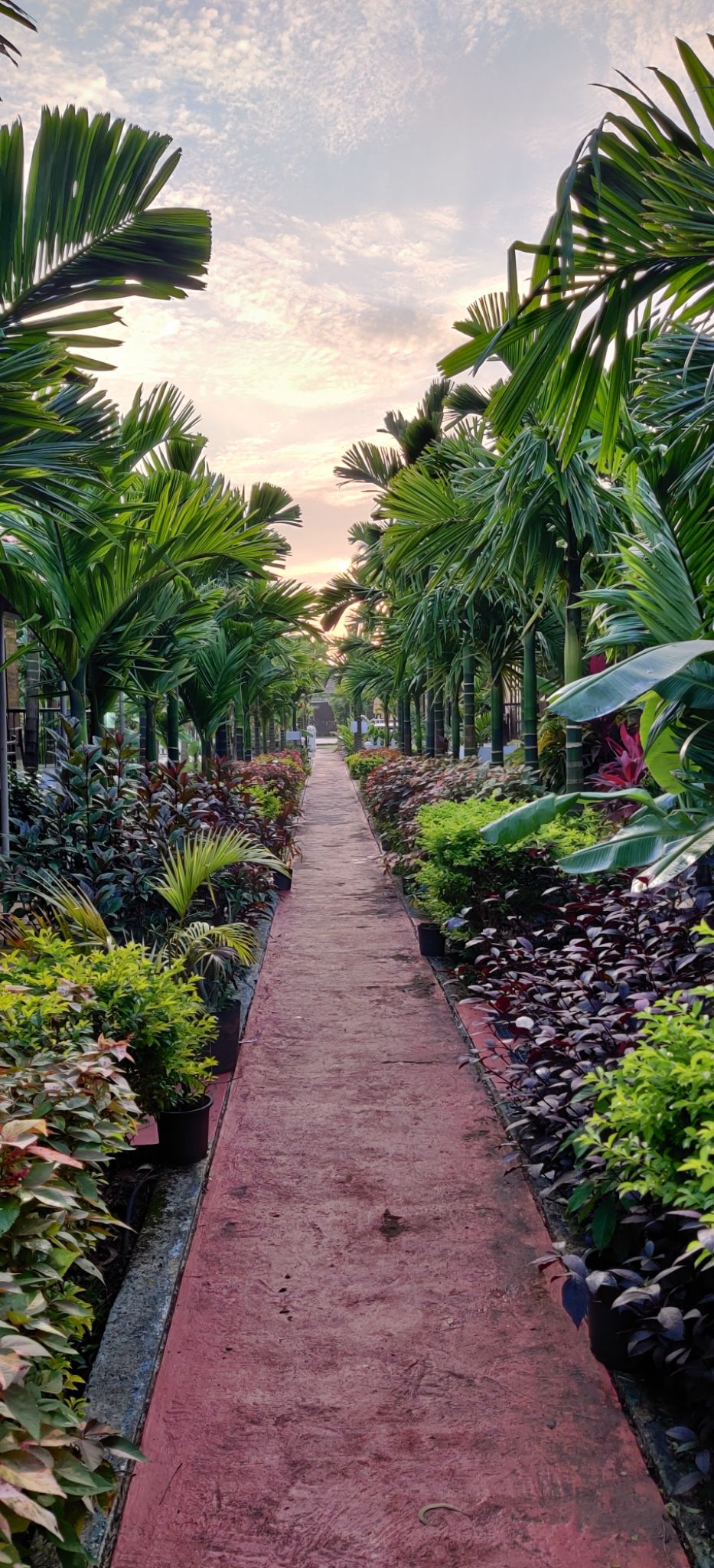 Photo of Go Green Eco Resort, Cavelossim, Goa, India by Richa Abhishek Rastogi