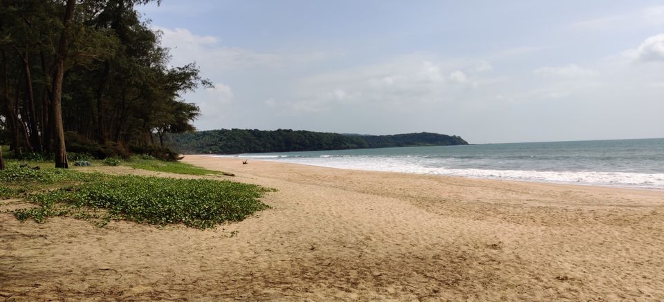 Photo of Galgibag Beach, Goa by Richa Abhishek Rastogi