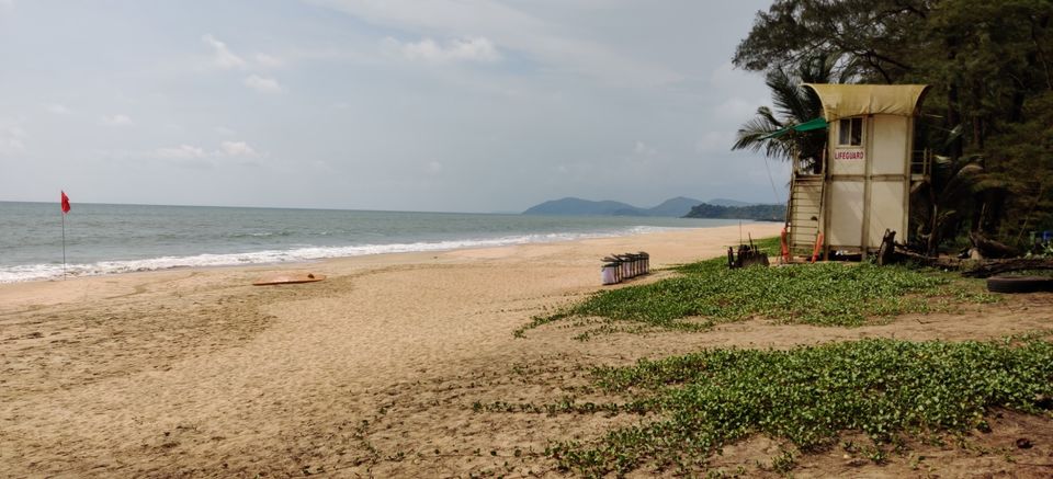 Photo of Galgibag Beach, Goa by Richa Abhishek Rastogi