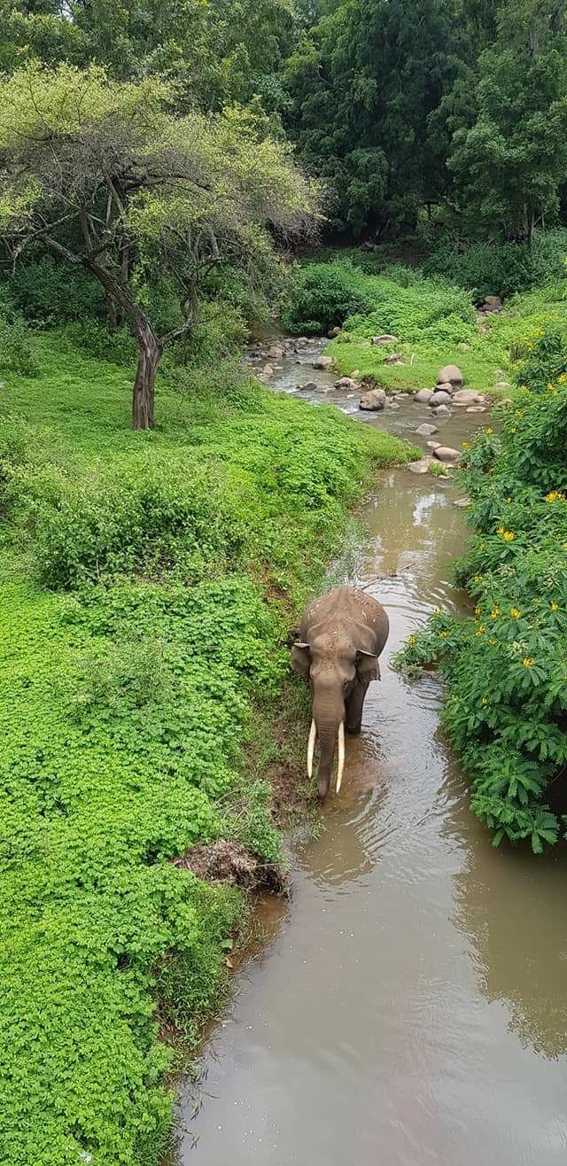 Photo of Ooty Coonoor Upper Bhavani lake-awesome 3 days trip by Richa Abhishek Rastogi