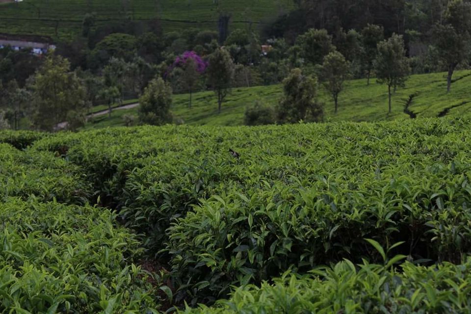 Photo of Ooty Coonoor Upper Bhavani lake-awesome 3 days trip by Richa Abhishek Rastogi