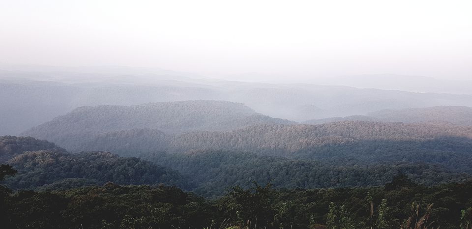 Photo of Kali Tiger Reserve Forest, Kateli, Karnataka, India by Richa Abhishek Rastogi
