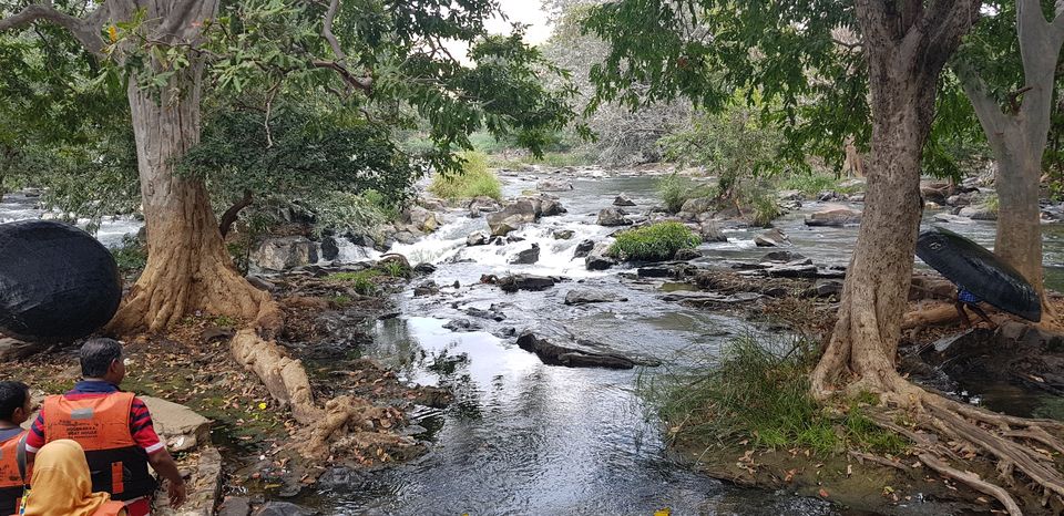 Photo of One day get away from Bangalore to Hogenakkal Waterfalls by Richa Abhishek Rastogi