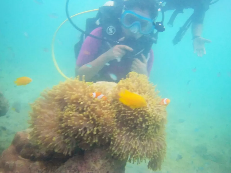 Photo of GYPSY DIVERS, HAVELOCK ISLAND, Andaman and Nicobar Islands, India by Richa Abhishek Rastogi