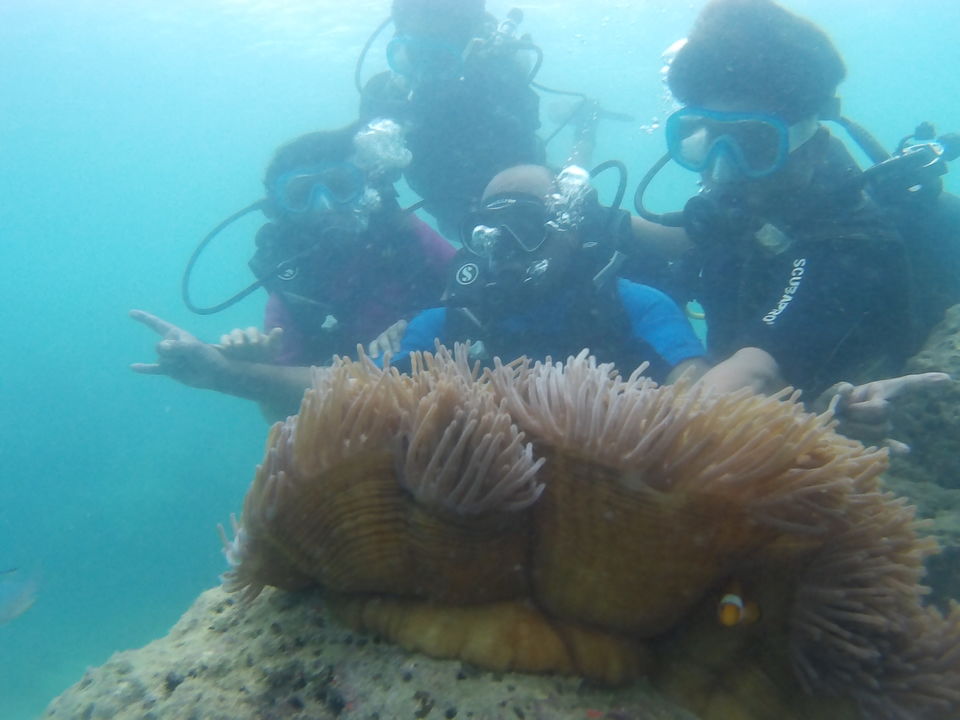 Photo of Andaman -Part 1 -PortBlair and Havelock Island by Richa Abhishek Rastogi