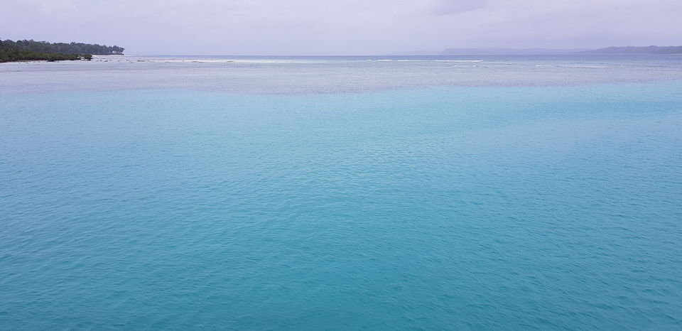 Photo of Andaman -Part 1 -PortBlair and Havelock Island by Richa Abhishek Rastogi