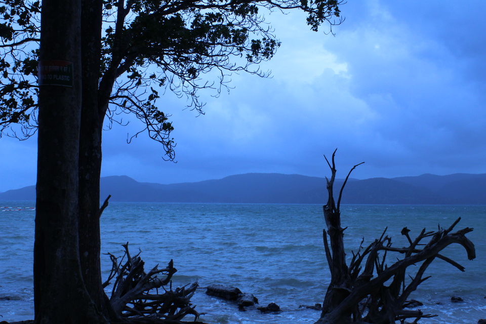 Photo of Andaman Part 2 - Blissful days at Neil Island and Port Blair by Richa Abhishek Rastogi