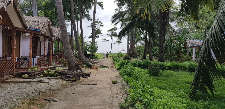 Photo of Neil Island, Andaman and Nicobar Islands by Richa Abhishek Rastogi